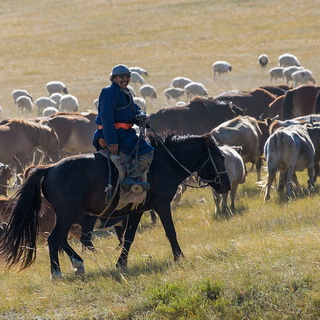 Hustai - Nomads with herds